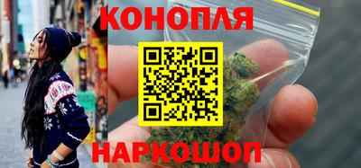 гидропоника Можга