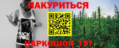 гидропоника Можга