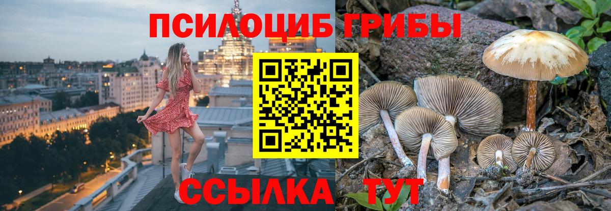 Псилоцибиновые грибы MAGIC MUSHROOMS  где купить наркоту  Улан-Удэ  Вход с VPN 